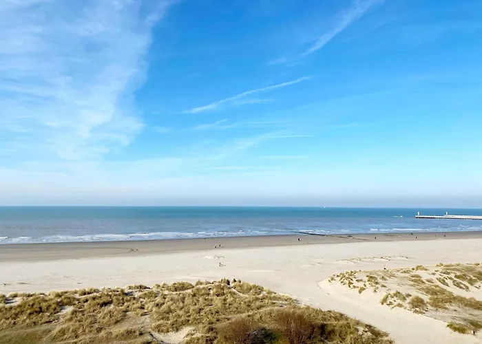 Attic Near 니우포르트